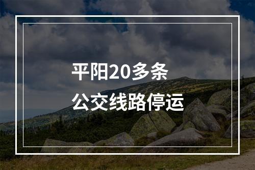 平阳20多条公交线路停运