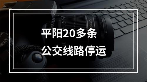 平阳20多条公交线路停运