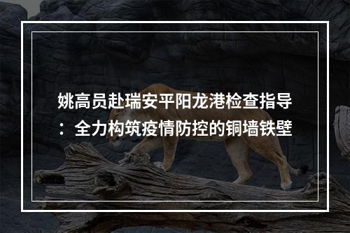 姚高员赴瑞安平阳龙港检查指导：全力构筑疫情防控的铜墙铁壁