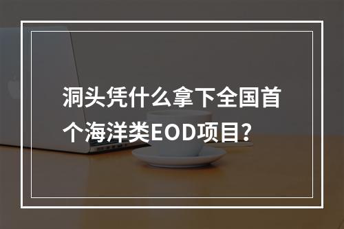 洞头凭什么拿下全国首个海洋类EOD项目？