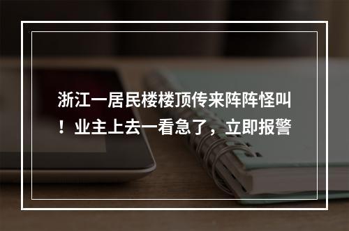 浙江一居民楼楼顶传来阵阵怪叫！业主上去一看急了，立即报警