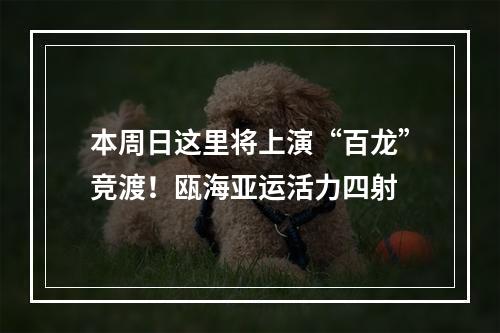 本周日这里将上演“百龙”竞渡！瓯海亚运活力四射