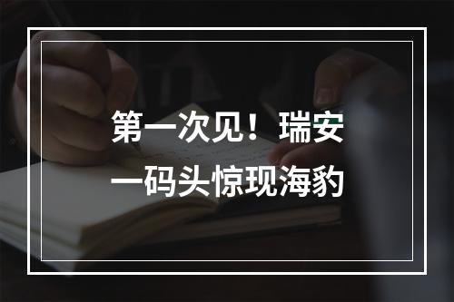 第一次见！瑞安一码头惊现海豹