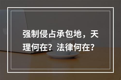 强制侵占承包地，天理何在？法律何在？