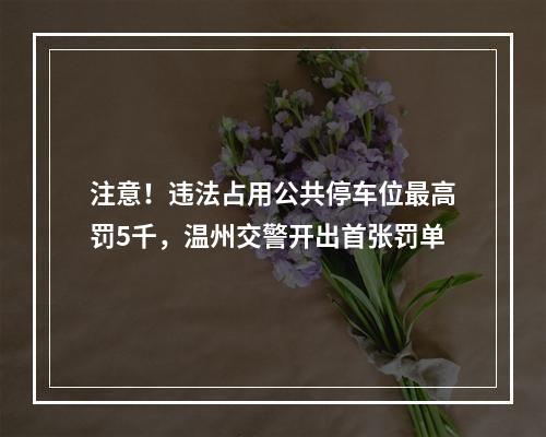 注意！违法占用公共停车位最高罚5千，温州交警开出首张罚单