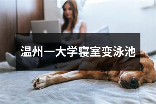 温州一大学寝室变泳池