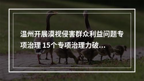 温州开展漠视侵害群众利益问题专项治理 15个专项治理力破群众急难愁盼