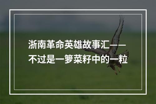 浙南革命英雄故事汇——不过是一箩菜籽中的一粒