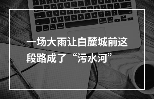 一场大雨让白麓城前这段路成了“污水河”