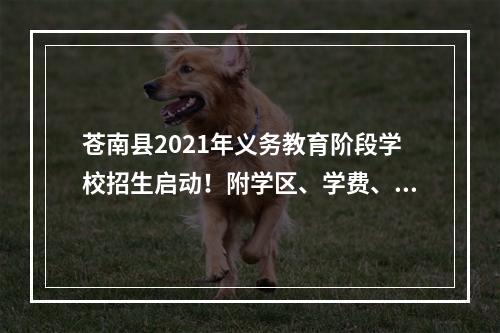 苍南县2021年义务教育阶段学校招生启动！附学区、学费、解答！