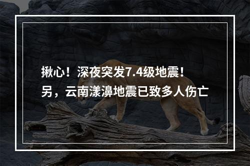 揪心！深夜突发7.4级地震！另，云南漾濞地震已致多人伤亡