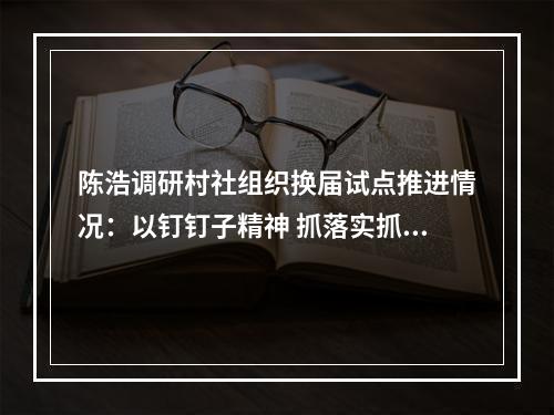 陈浩调研村社组织换届试点推进情况：以钉钉子精神 抓落实抓推进