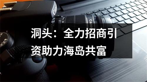 洞头：全力招商引资助力海岛共富