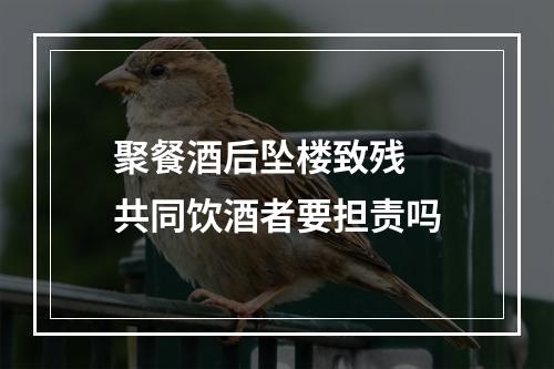 聚餐酒后坠楼致残  共同饮酒者要担责吗