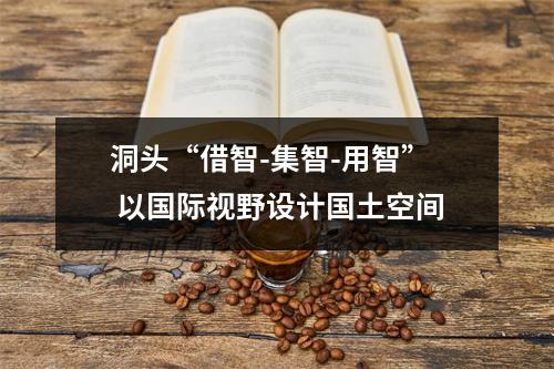 洞头“借智-集智-用智” 以国际视野设计国土空间