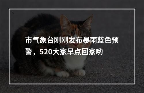市气象台刚刚发布暴雨蓝色预警，520大家早点回家哟