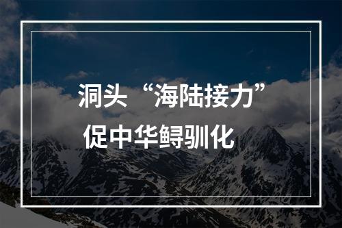 洞头“海陆接力” 促中华鲟驯化