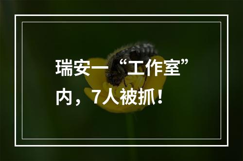 瑞安一“工作室”内，7人被抓！