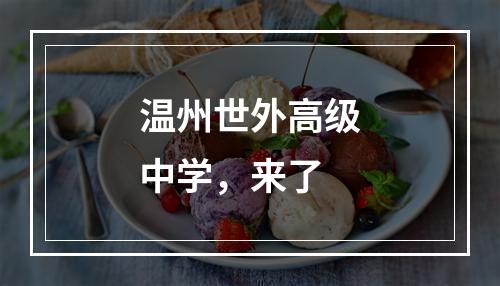 温州世外高级中学，来了