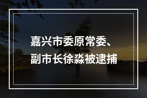 嘉兴市委原常委、副市长徐淼被逮捕