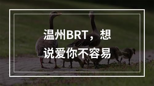 温州BRT，想说爱你不容易