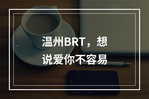 温州BRT，想说爱你不容易