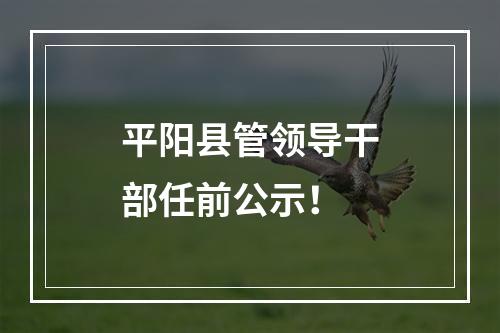 平阳县管领导干部任前公示！