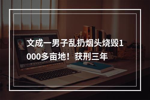 文成一男子乱扔烟头烧毁1000多亩地！获刑三年