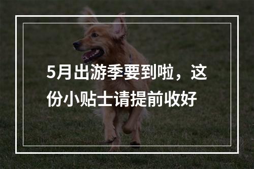 5月出游季要到啦，这份小贴士请提前收好