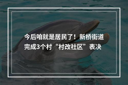 今后咱就是居民了！新桥街道完成3个村“村改社区”表决