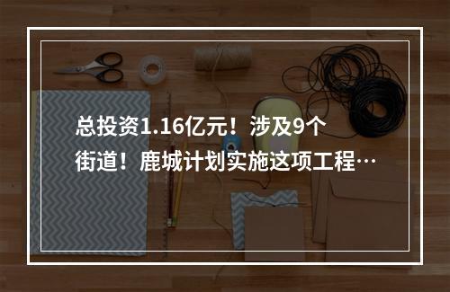 总投资1.16亿元！涉及9个街道！鹿城计划实施这项工程…