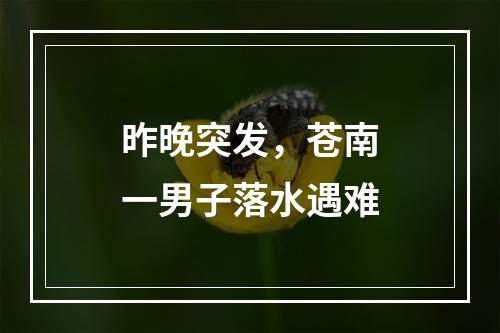 昨晚突发，苍南一男子落水遇难
