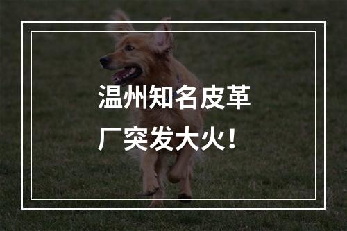 温州知名皮革厂突发大火！