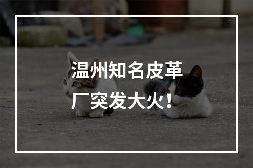 温州知名皮革厂突发大火！