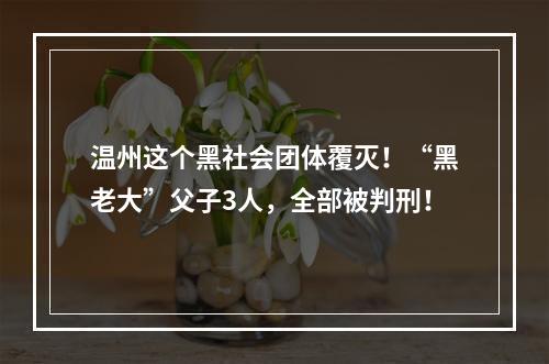 温州这个黑社会团体覆灭！“黑老大”父子3人，全部被判刑！