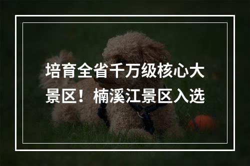 培育全省千万级核心大景区！楠溪江景区入选