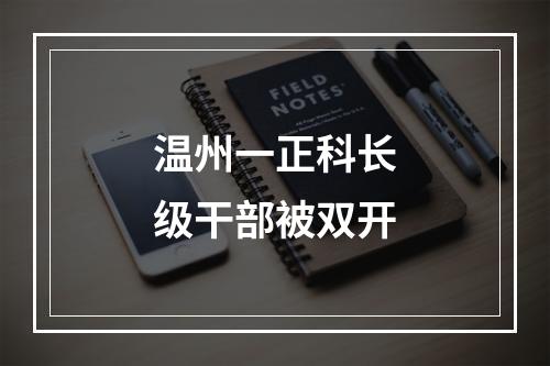 温州一正科长级干部被双开