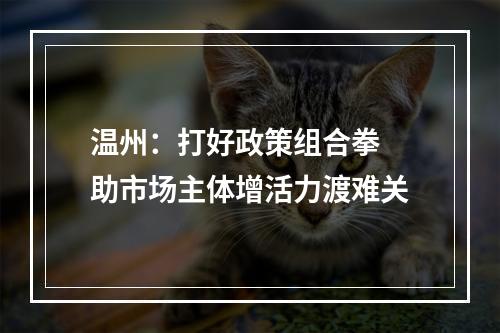 温州：打好政策组合拳 助市场主体增活力渡难关