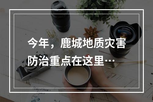 今年，鹿城地质灾害防治重点在这里…
