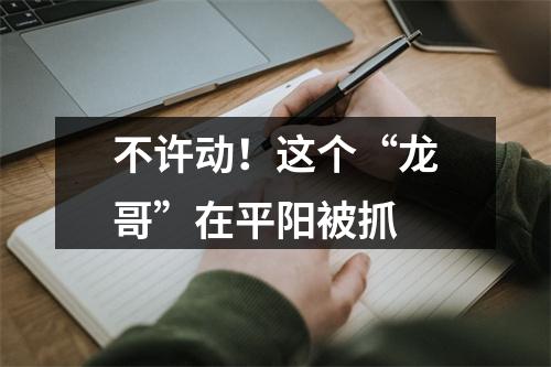 不许动！这个“龙哥”在平阳被抓
