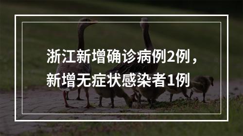 浙江新增确诊病例2例，新增无症状感染者1例
