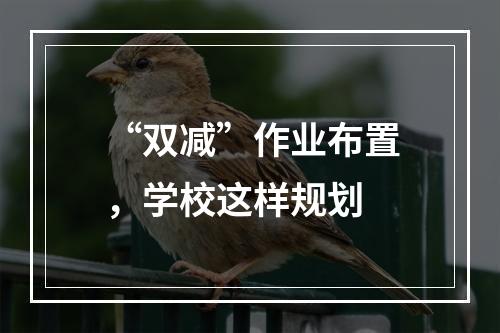 “双减”作业布置，学校这样规划