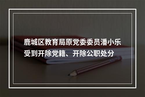 鹿城区教育局原党委委员潘小乐受到开除党籍、开除公职处分