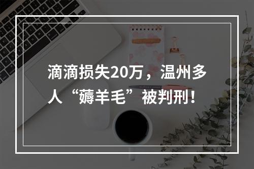 滴滴损失20万，温州多人“薅羊毛”被判刑！