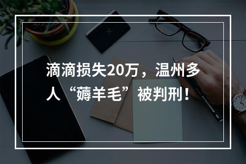 滴滴损失20万，温州多人“薅羊毛”被判刑！