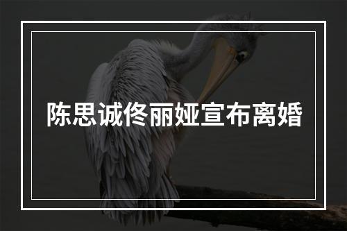 陈思诚佟丽娅宣布离婚