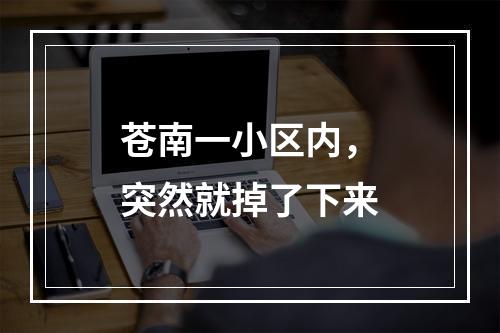 苍南一小区内，突然就掉了下来