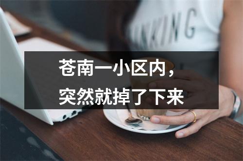 苍南一小区内，突然就掉了下来