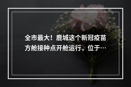 全市最大！鹿城这个新冠疫苗方舱接种点开舱运行，位于…