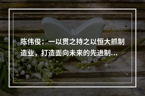 陈伟俊：一以贯之持之以恒大抓制造业，打造面向未来的先进制造业基地
